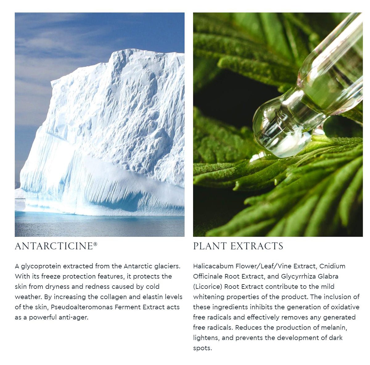 Natural Bright Suncreen 50ml-4