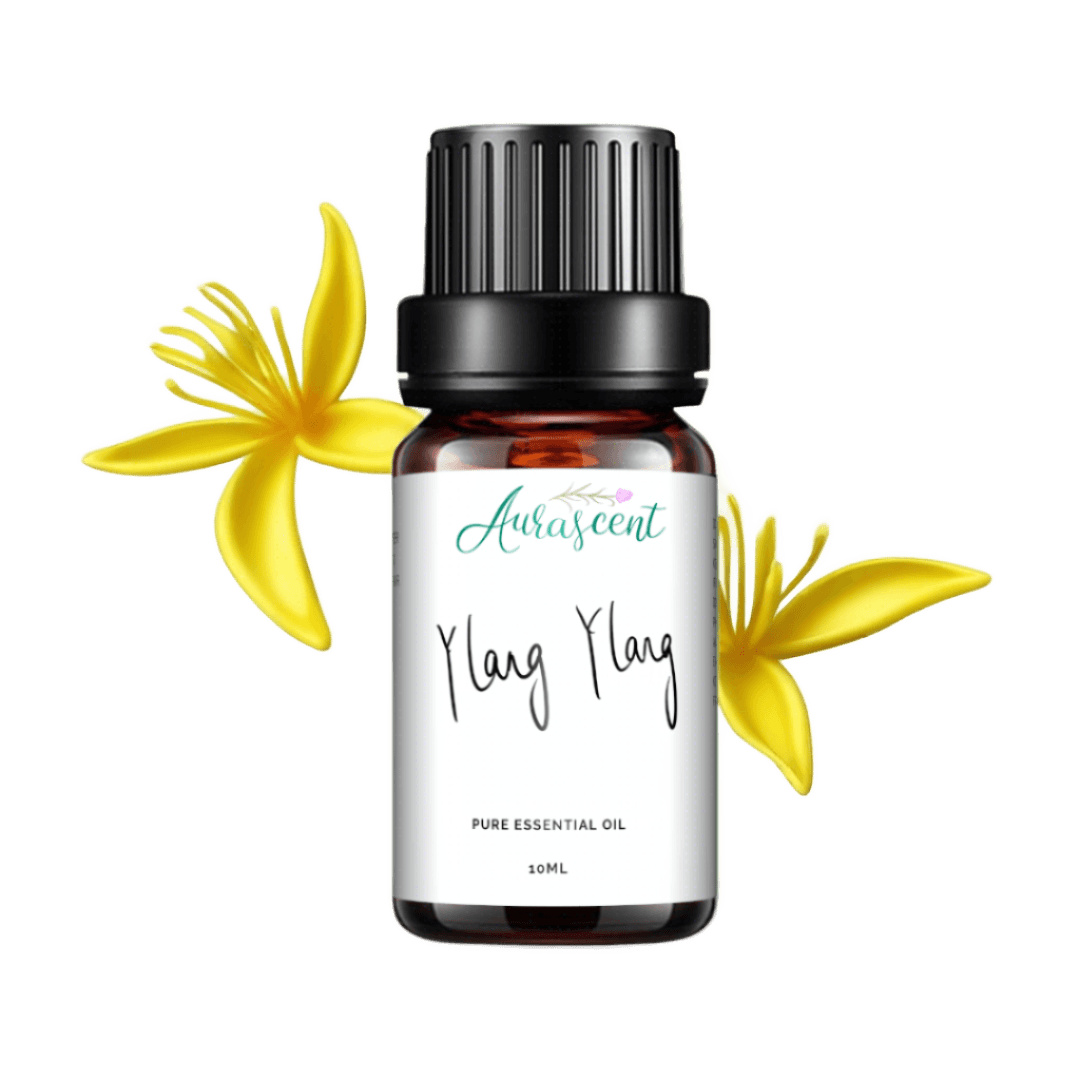 Ylang Ylang Essential Oil - 10ml-0