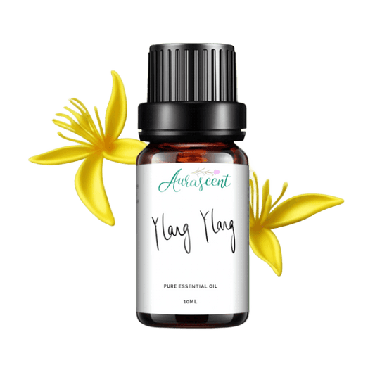 Ylang Ylang Essential Oil - 10ml-0